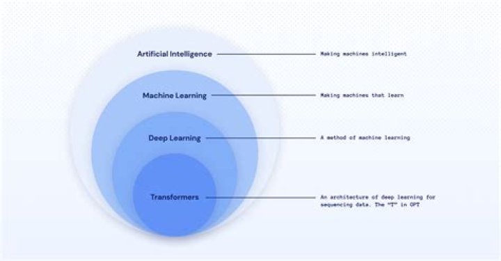 A Journey Into AI Language Models