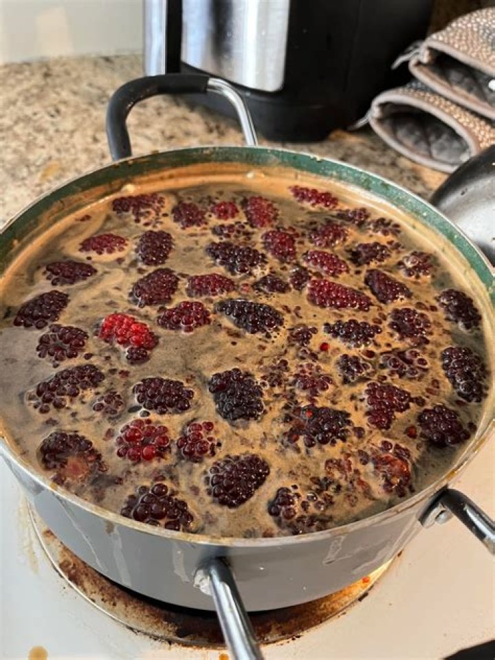Unveiling The Secrets To Enchanting Blackberry Mead